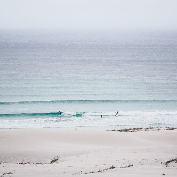 摄影师Daniel Alford： 如何用摄影与自然交流