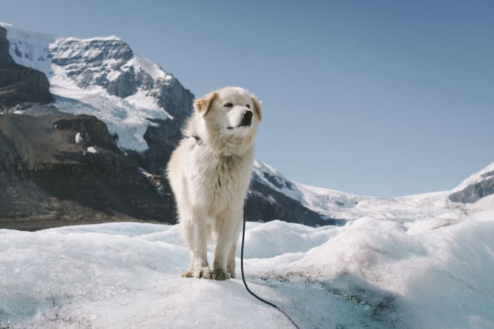 法国摄影师Alex Strohl 记录惊心动魄的瞬间