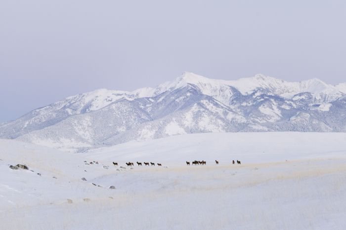 法国摄影师Alex Strohl 记录惊心动魄的瞬间