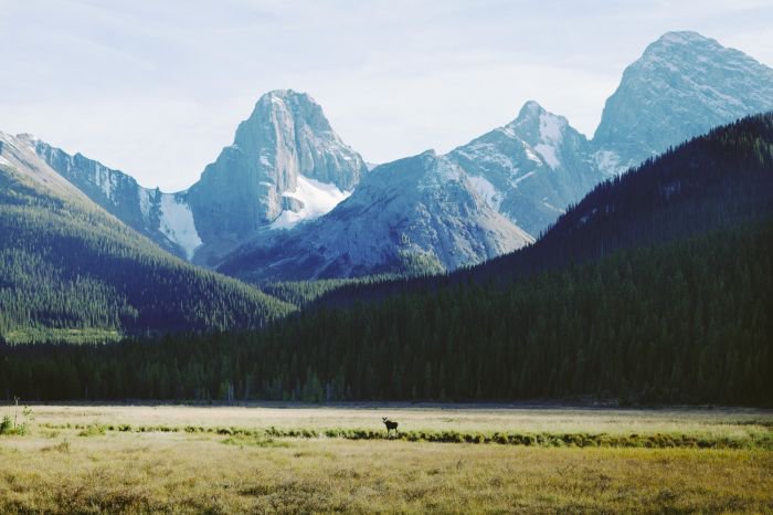 法国摄影师Alex Strohl 记录惊心动魄的瞬间