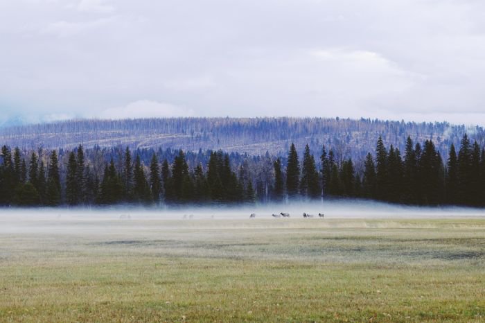 法国摄影师Alex Strohl 记录惊心动魄的瞬间