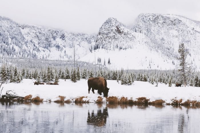法国摄影师Alex Strohl 记录惊心动魄的瞬间