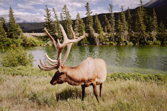 法国摄影师Alex Strohl 记录惊心动魄的瞬间