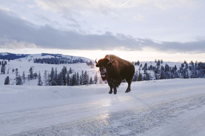 法国摄影师Alex Strohl 记录惊心动魄的瞬间