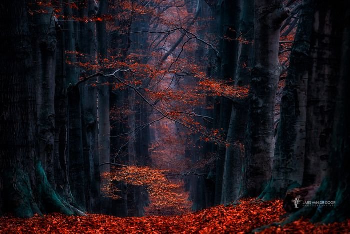 荷兰摄影师Lars van de Goor风光摄影作品