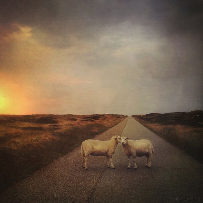 摄影师Mariko 摄影作品