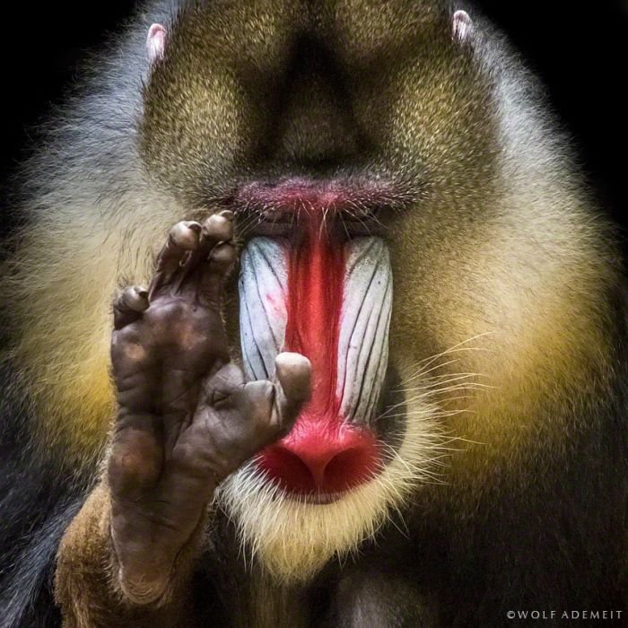 国外摄影网站500px年度精选TOP10 摄影欣赏