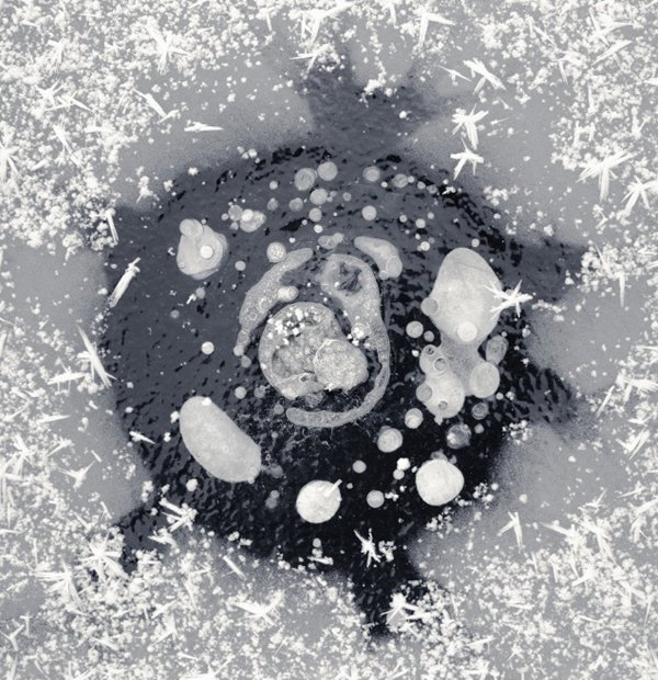 美国摄影师Ryota Kajita 摄影作品欣赏