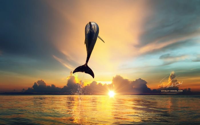 摄影师Vitaliy Sokol 神秘梦幻海底摄影