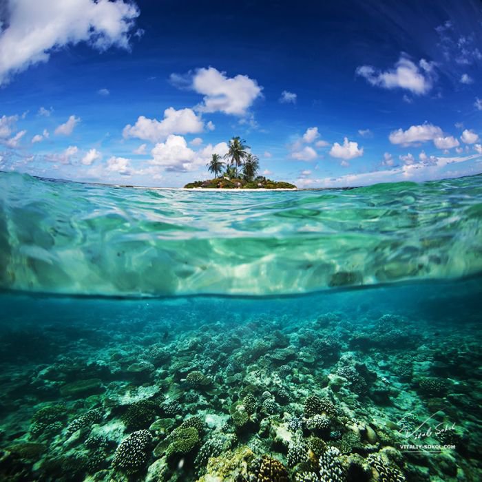 摄影师Vitaliy Sokol 神秘梦幻海底摄影