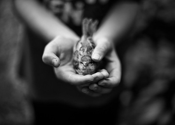 Tytia Habing 黑白摄影作品 