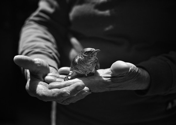 Tytia Habing 黑白摄影作品 