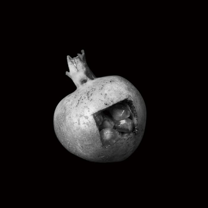 张宏川黑白摄影:《Still Life》 让生命和时间静止