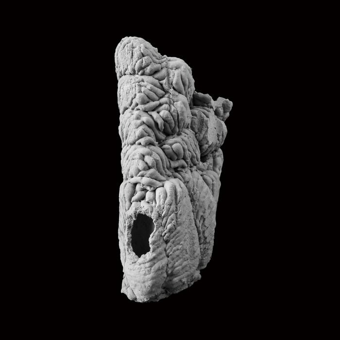 张宏川黑白摄影:《Still Life》 让生命和时间静止