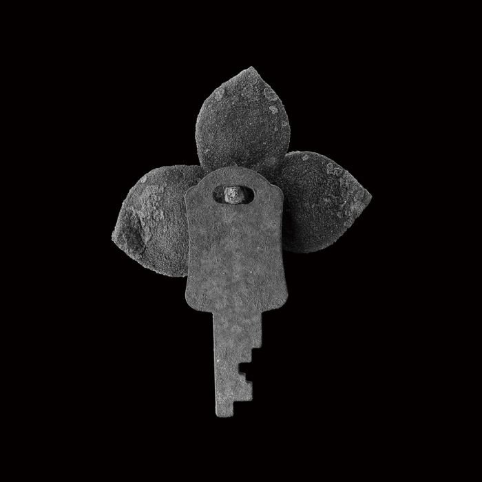 张宏川黑白摄影:《Still Life》 让生命和时间静止