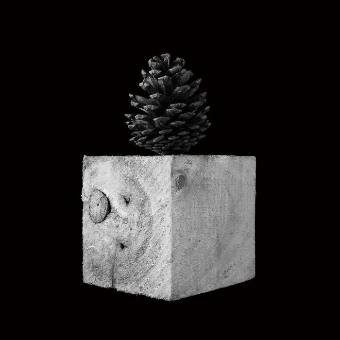 张宏川黑白摄影:《Still Life》 让生命和时间静止