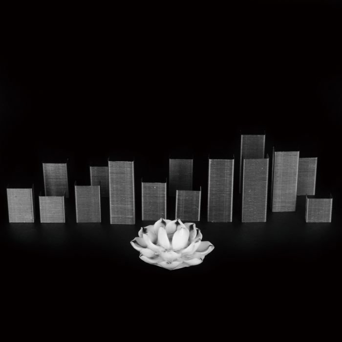 张宏川黑白摄影:《Still Life》 让生命和时间静止