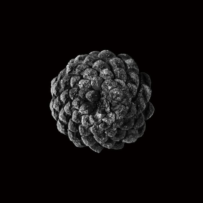 张宏川黑白摄影:《Still Life》 让生命和时间静止