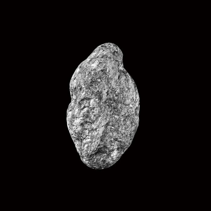 张宏川黑白摄影:《Still Life》 让生命和时间静止