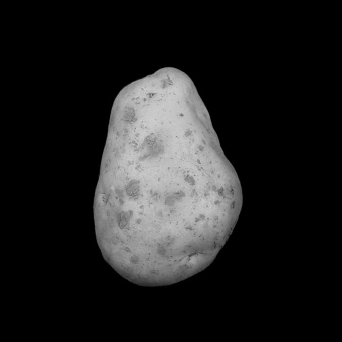 张宏川黑白摄影:《Still Life》 让生命和时间静止