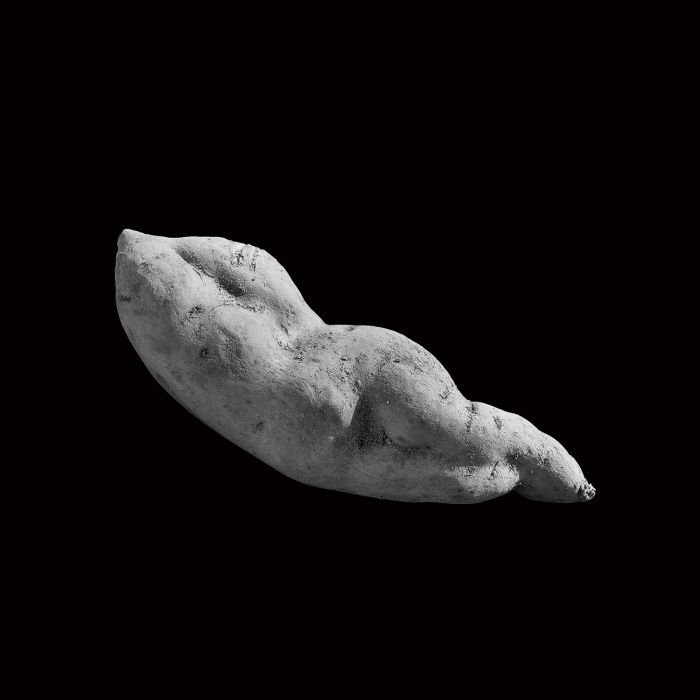 张宏川黑白摄影:《Still Life》 让生命和时间静止