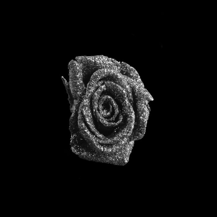 张宏川黑白摄影:《Still Life》 让生命和时间静止