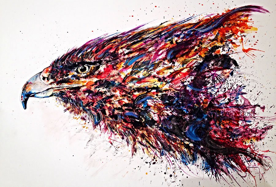 Emily Tan动物插画