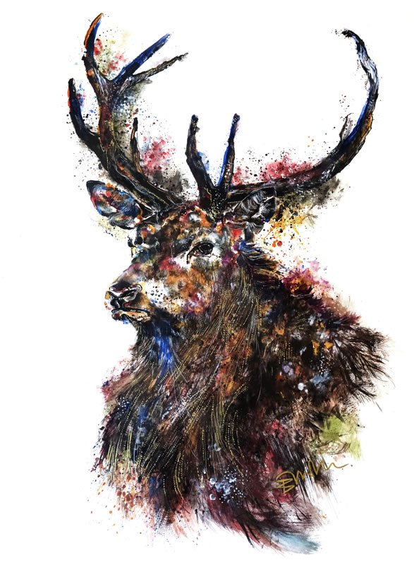 Emily Tan动物插画