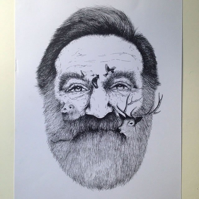 Alfred Basha素描插画
