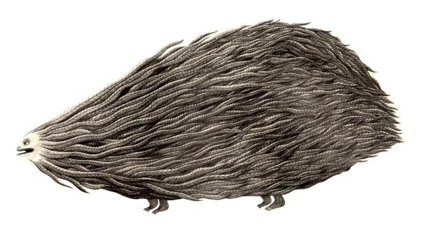 Juliette Barbanègre图书插图