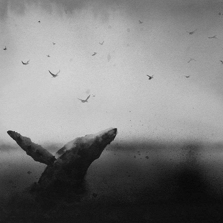 Elicia Edijanto人与动物黑白水彩插画