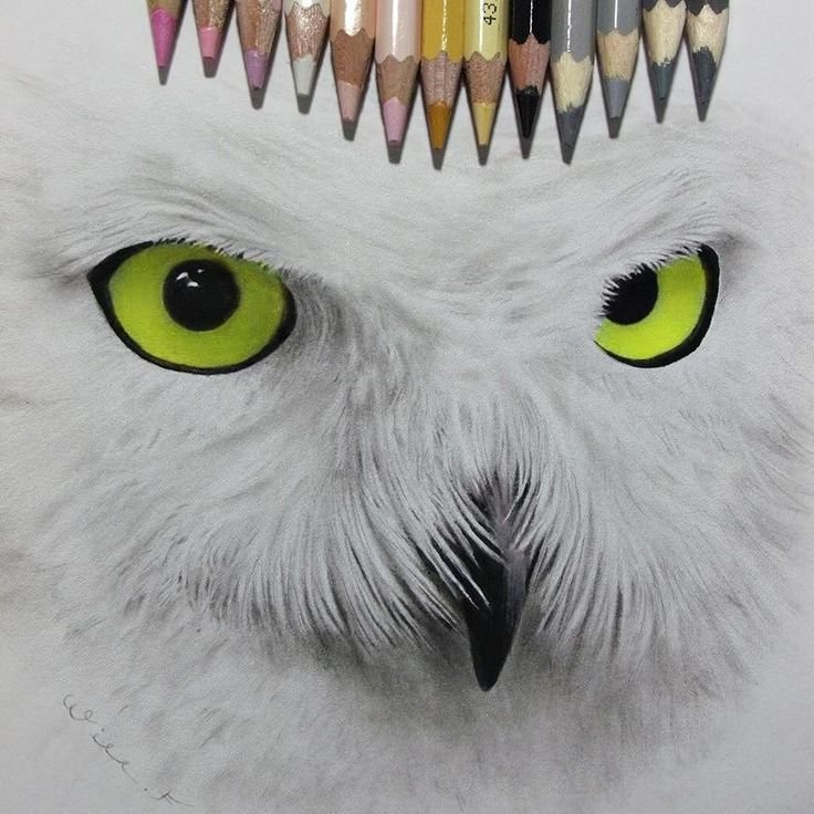 优秀插画作品精选一