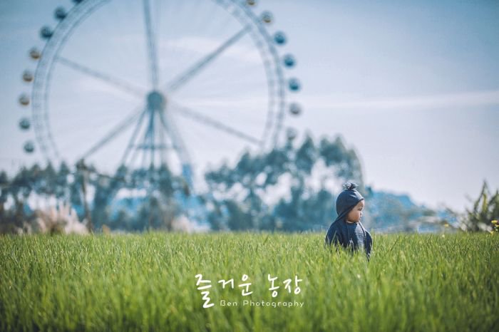 儿童人像摄影童趣乐园 我们的开心农场