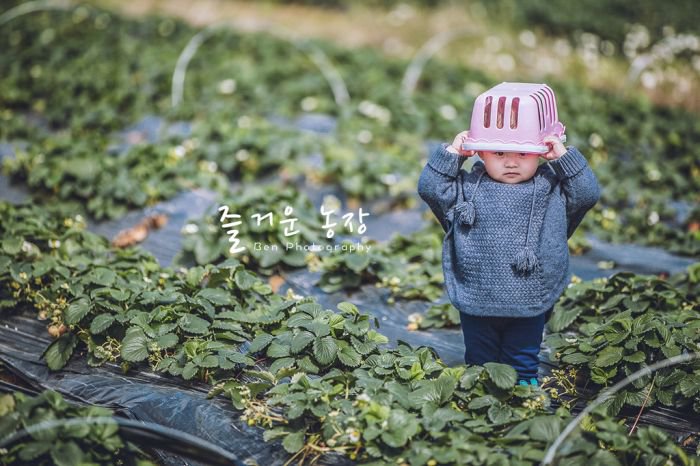 儿童人像摄影童趣乐园 我们的开心农场