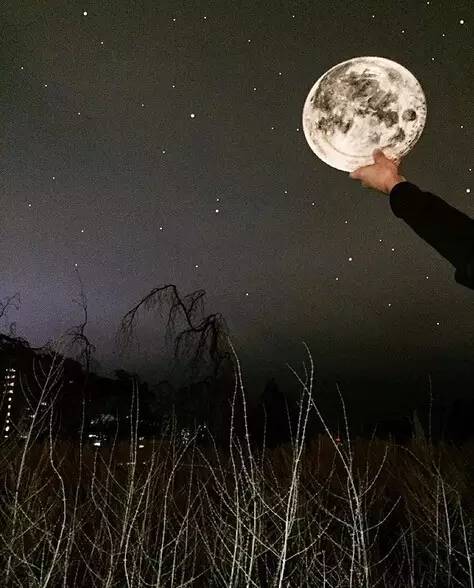 加拿大Jacqueline Poirie用一个盘子画画 成功俘获了百万粉丝