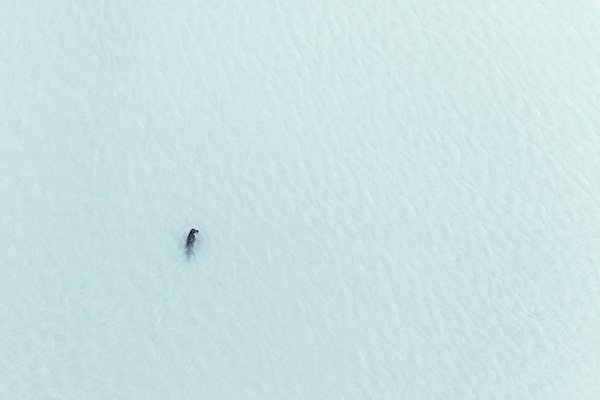 Zack Seckler航拍摄影作品：冰岛