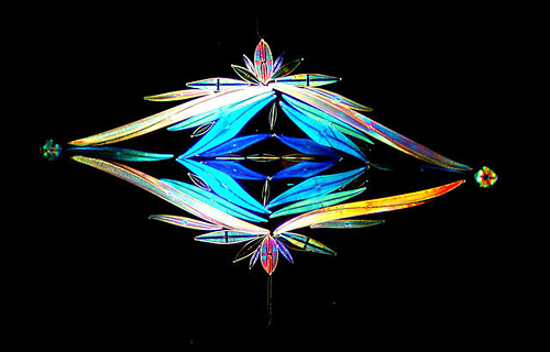 摄影师Klaus Kemp 镜头下不可思议的微观世界