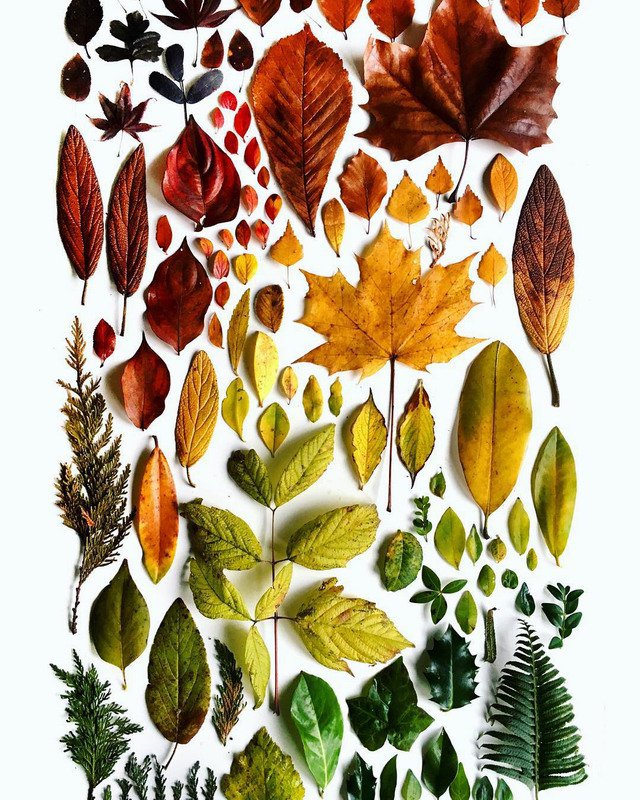 摄影师Brittany Wright 生活中的色彩韵律