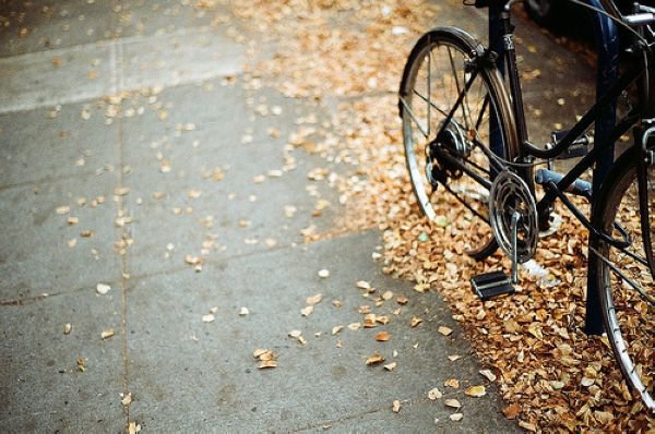 其实世上许多人,都是这样不好不坏的人