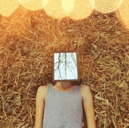 接纳所有的看见