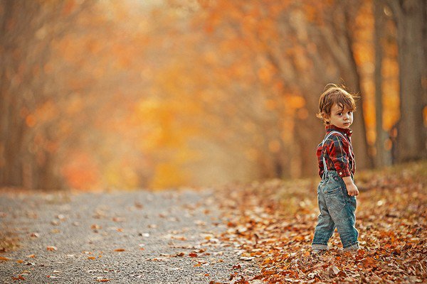 14本书告诉你秋天应该做的事