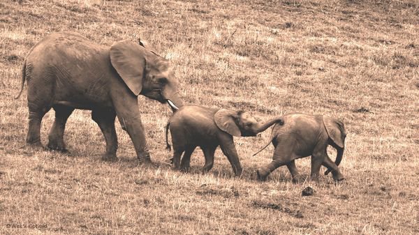 最好的关系,是亲近地保持距离
