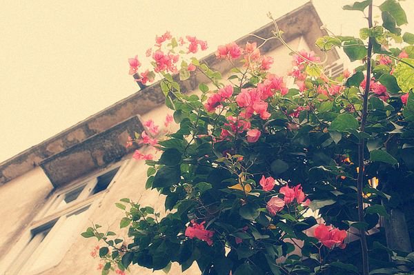 从三件事去看清一个人到底值不值得你去深交