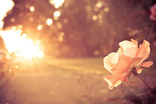 谁是你唯一敢得罪的那个人？