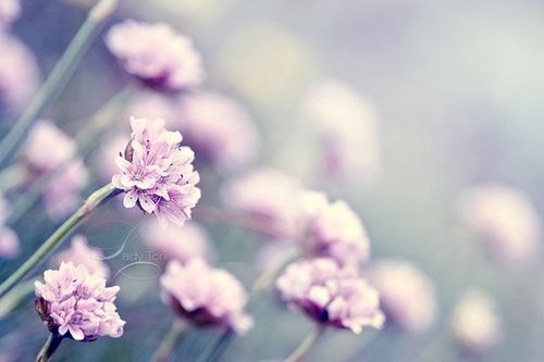 村上春树:恰到好处,活着就好