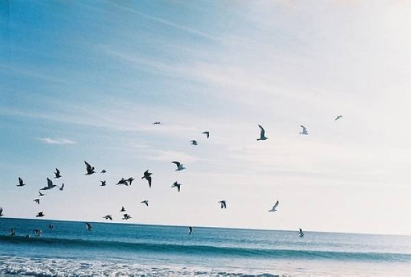 像少年一样去爱,像成人一样克制