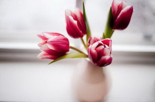 年纪越大,胆子越小