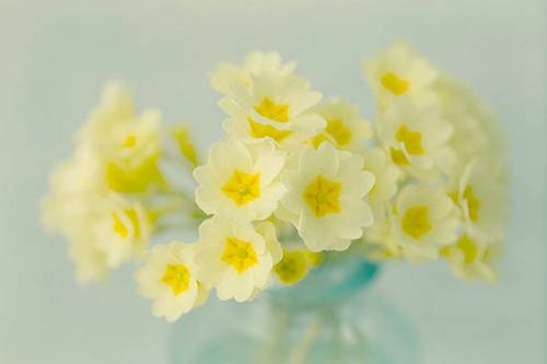 不敢晒的才是真幸福