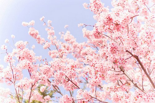 内心丰盈才幸福