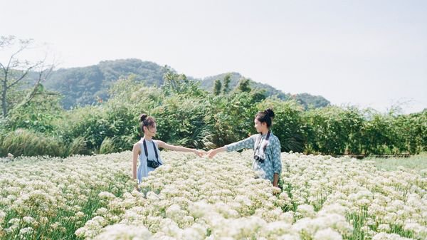 再不联系,我们又会变成陌生人